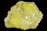 Sulfur Crystal Cluster on Matrix - Steamboat Springs, Nevada #69149-1
